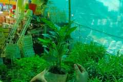 WhatsApp-Image-2026-08-01-at-12.18.03-PM-1