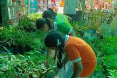 WhatsApp-Image-2026-08-01-at-12.18.03-PM
